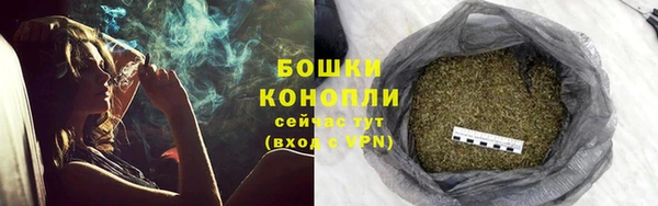 молекула духа Бородино