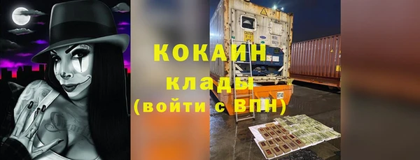 стафф Богданович
