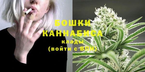 молекула духа Бородино