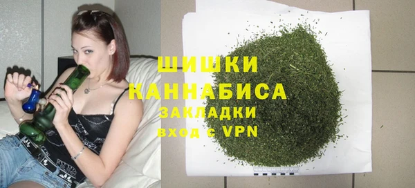 стафф Богданович